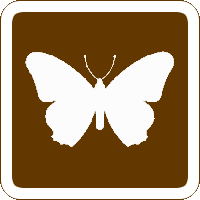 Butterfly Farm Butterfly Farm