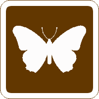 Butterfly Farm