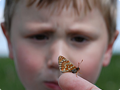 boywithbutterfly Jeremy-Cuf