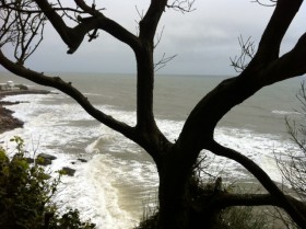 Coastal garden setting