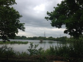 Whisby Nature Reserve