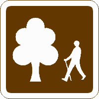 Woodland Walk in Deciduous Forest