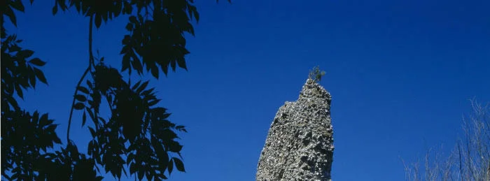 7005