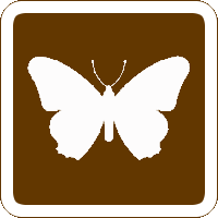 Butterfly Farm