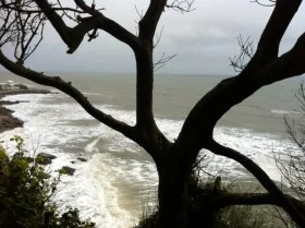 Coastal garden setting