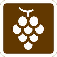 Vineyard