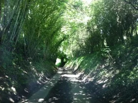 Road to Stour Valley Arts
