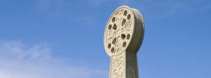 7736